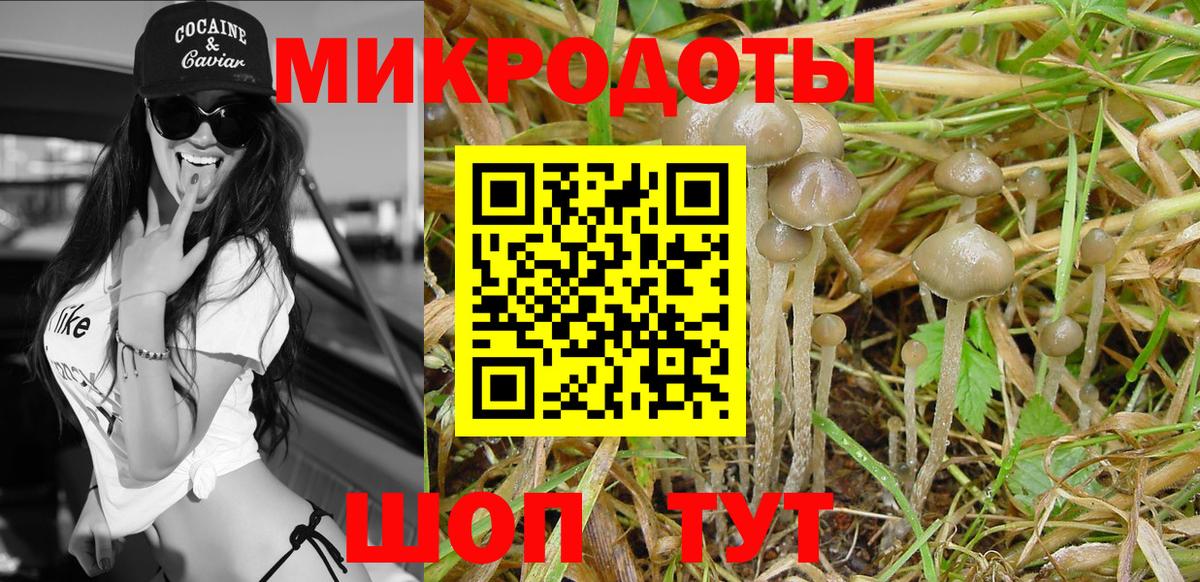 Алексеевка  Псилоцибиновые грибы GOLDEN TEACHER  Вход с VPN  Галлюциногенные грибы Cubensis 