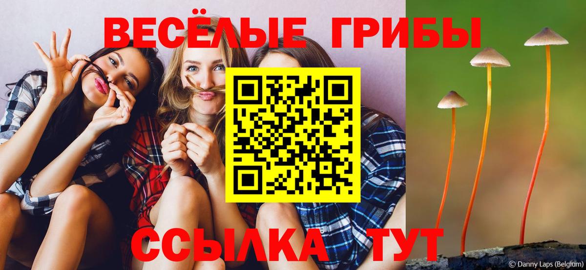 Псилоцибиновые грибы Cubensis Алексеевка